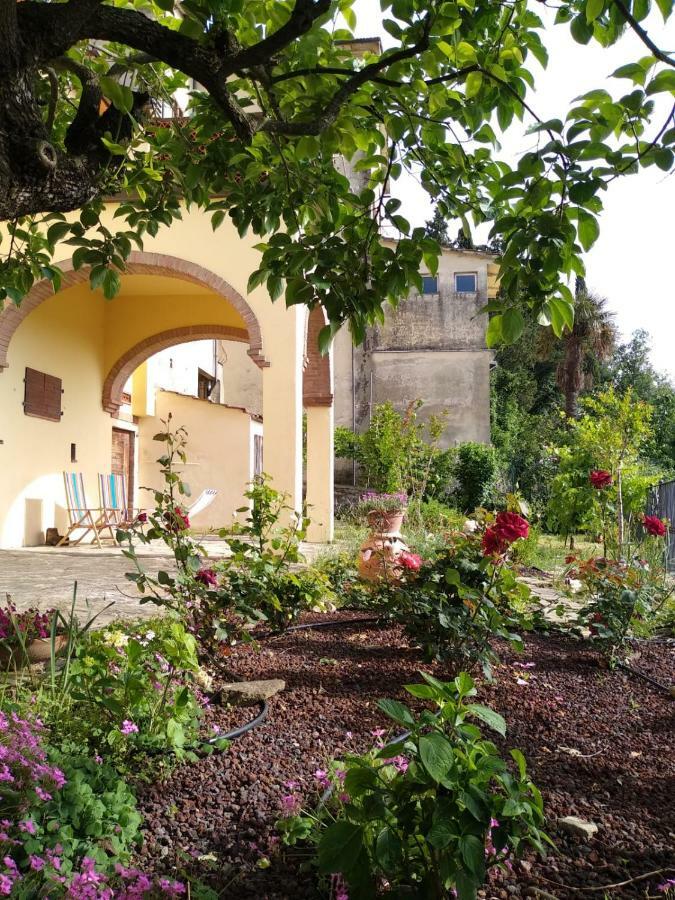 Da Vinci Sweet Home Castiglion Fibocchi Exteriör bild