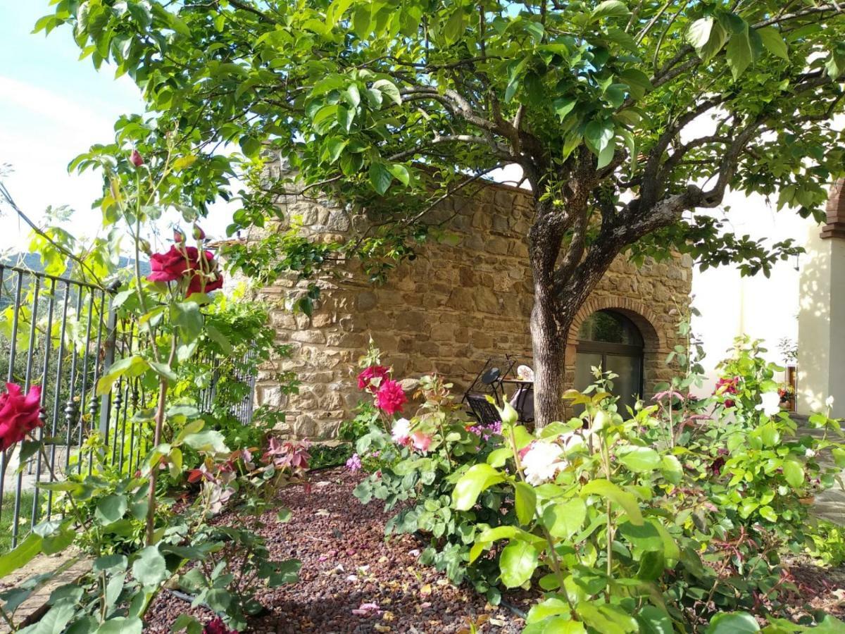 Da Vinci Sweet Home Castiglion Fibocchi Exteriör bild
